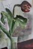 Aquarell
